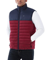 Dark Red/Blue